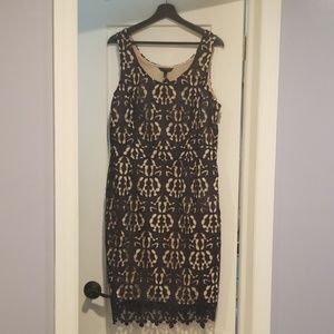 New with Tags Navy Blue Dress